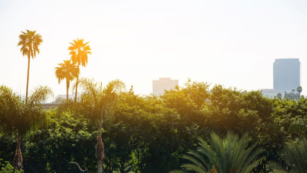 Personal Injury Attorneys in Anaheim near me